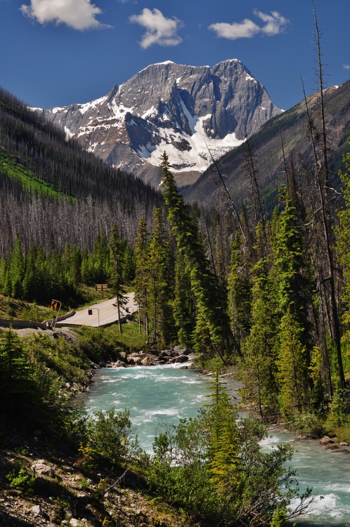 mountain scene